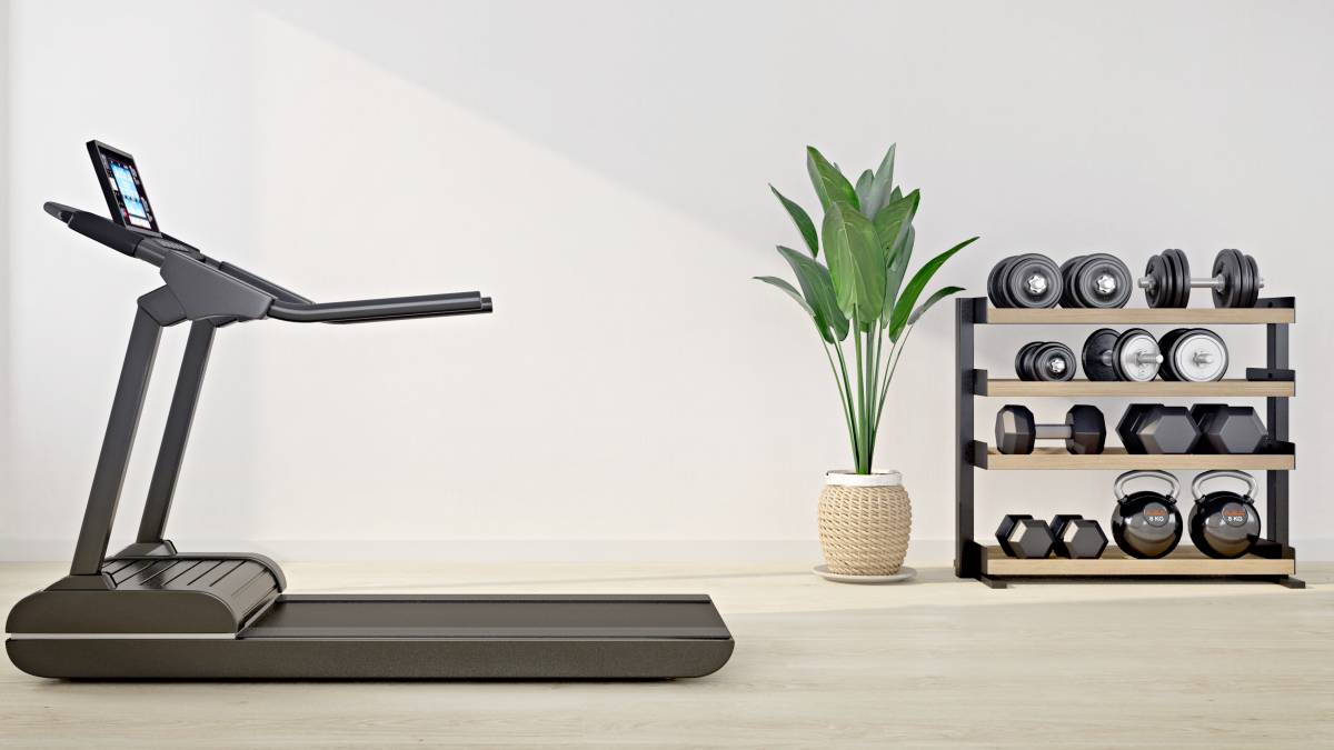 treadmill and gym equipments