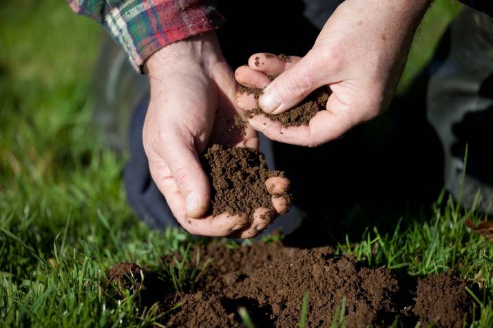 a man testing the soil