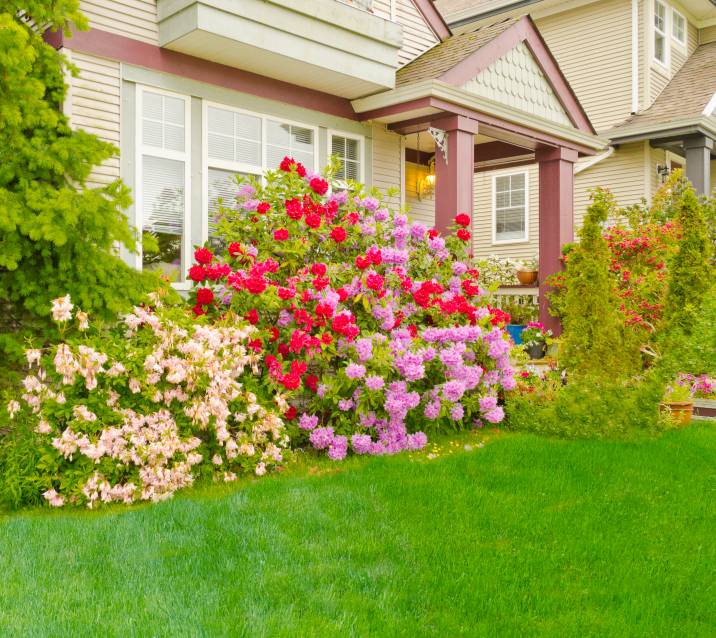 house entrance with a beautiful garden design