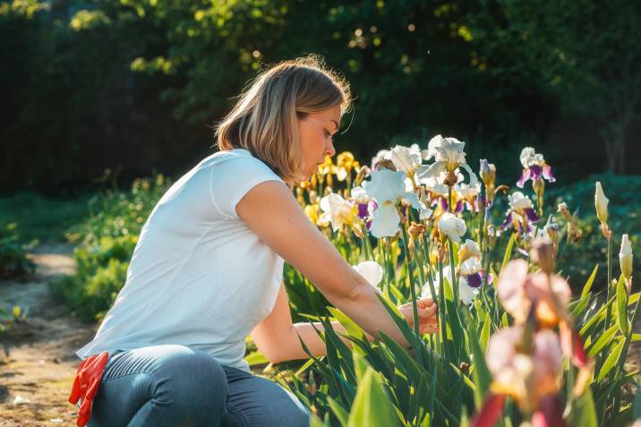 a woman pruning flowers in a garden