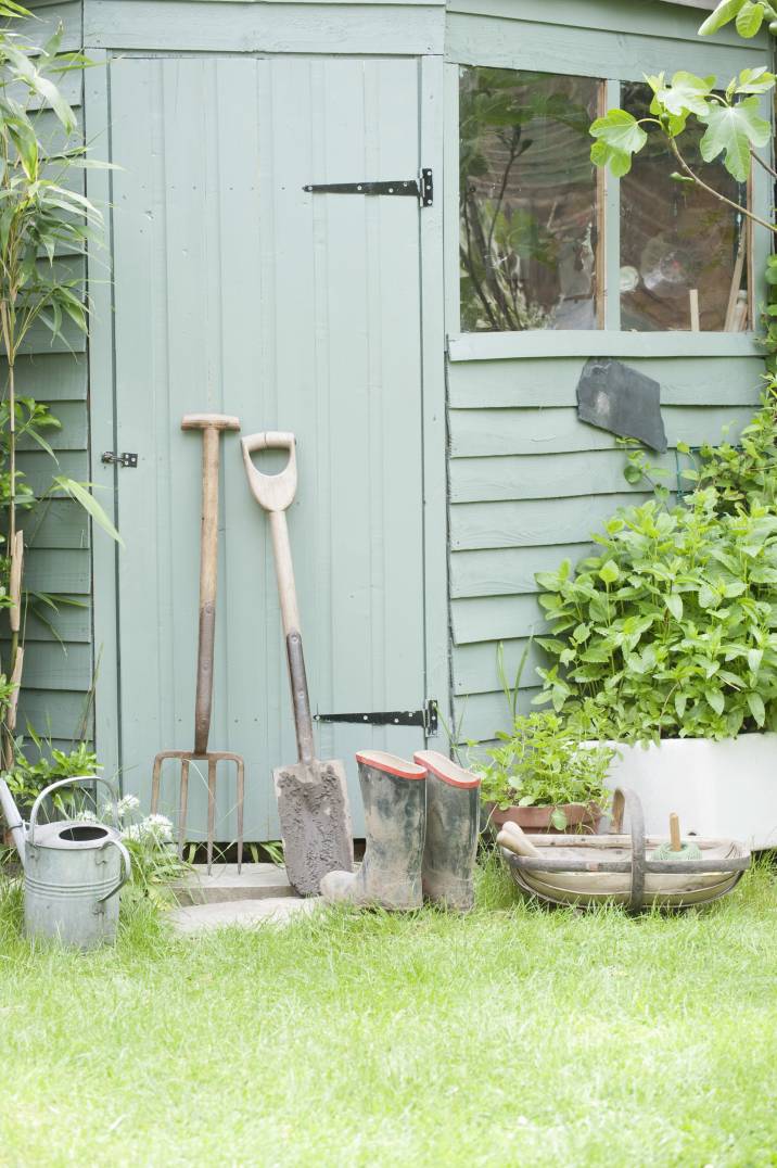 a garden shed with tools