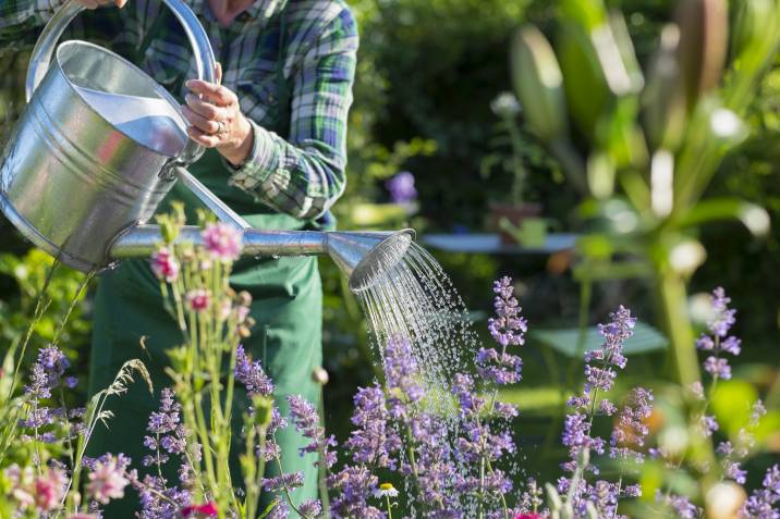 Man making money from watering plants