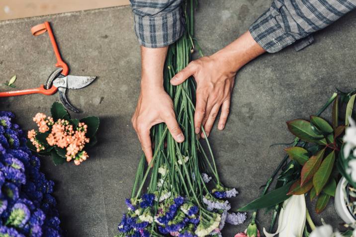 Fresh cut flowers