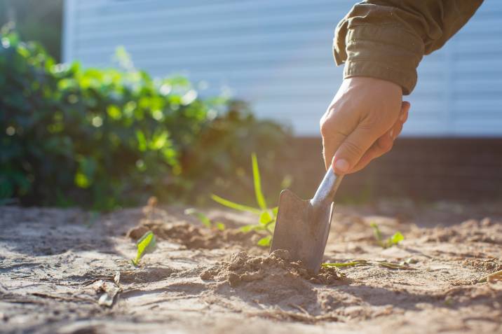 preparing garden bed