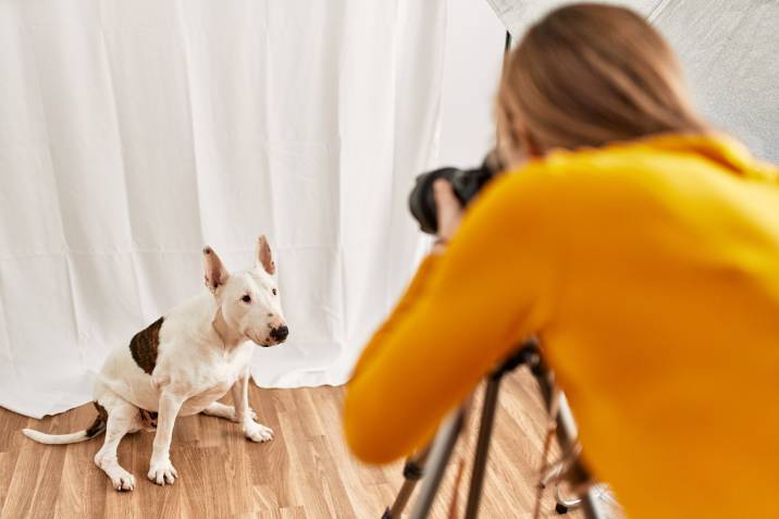a woman taking a photo of a dog