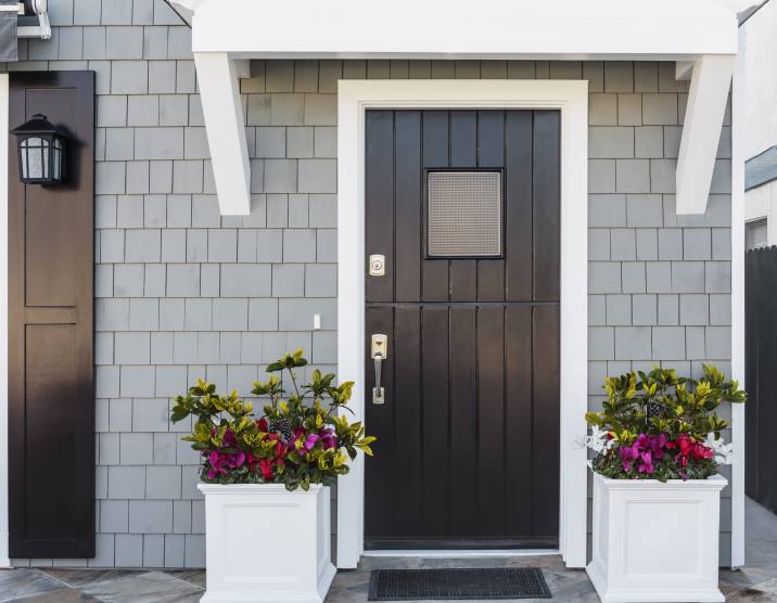 Black Front Door Ideas