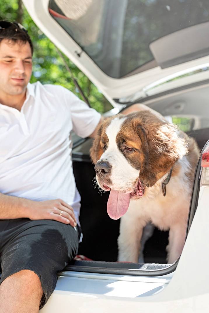 a man transporting a big dog