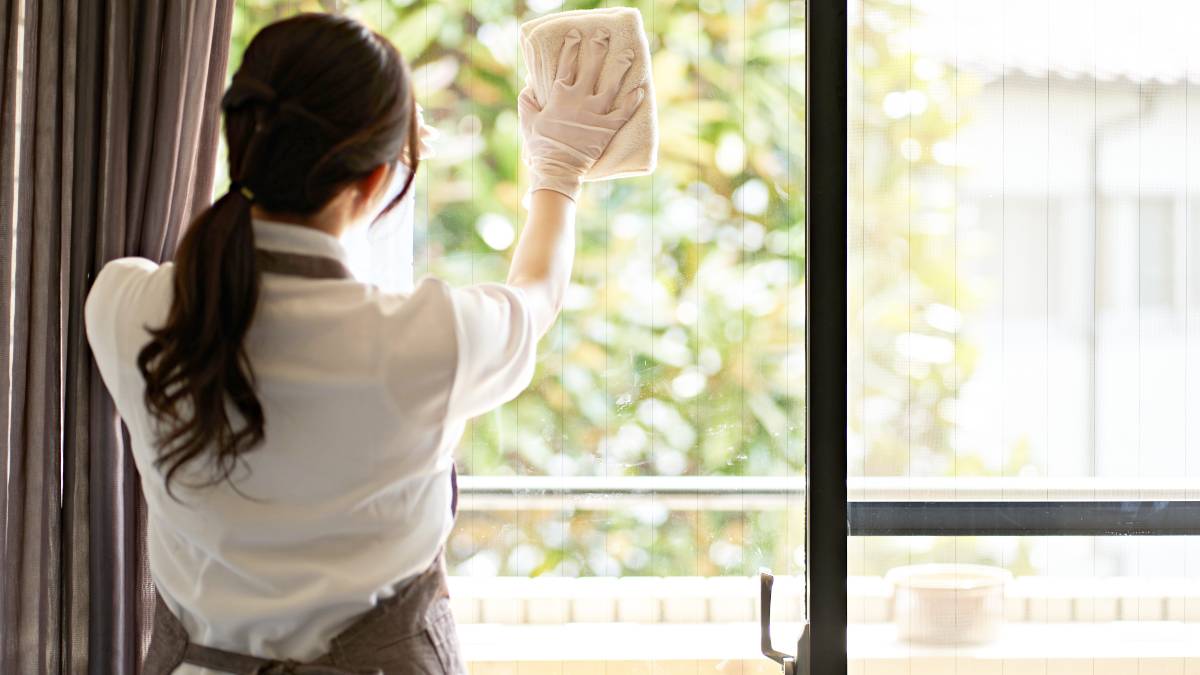 How Much Does It Cost to Clean Windows? Airtasker AU