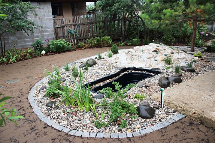a pond in a small garden