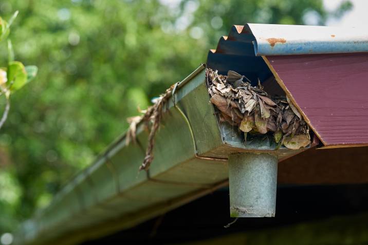 Clogged drain gutters