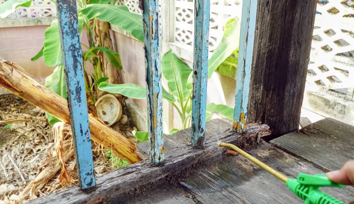 Termite technician using an equipment to treat termites infested wood