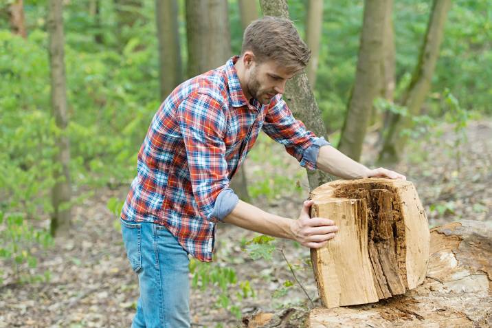 a man holding a tree stump