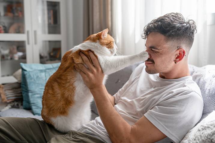 a cat scratching the nose of a cat sitter