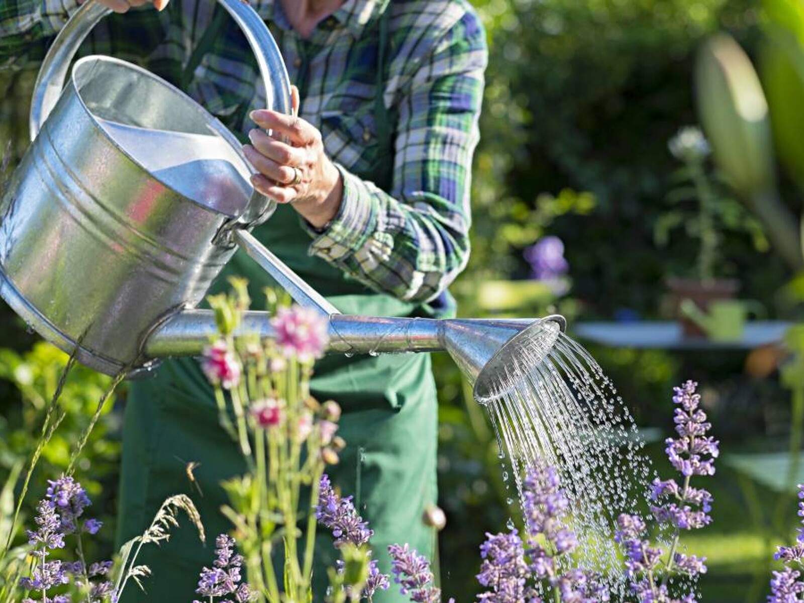 2024 Average Gardener Costs & Price List