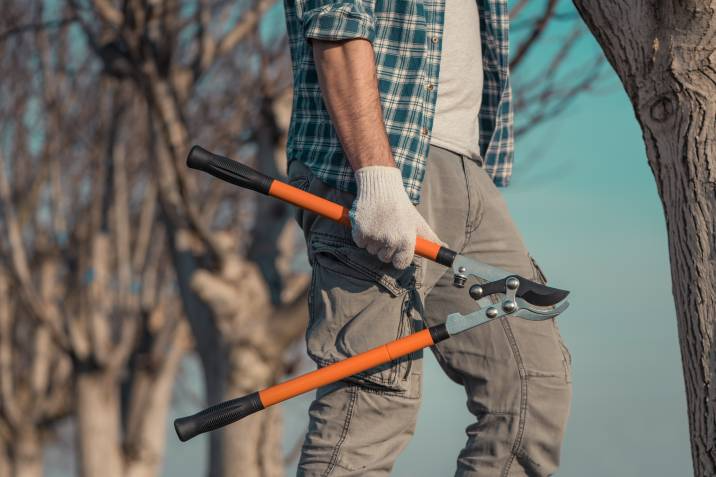 gardening holding lopping shears