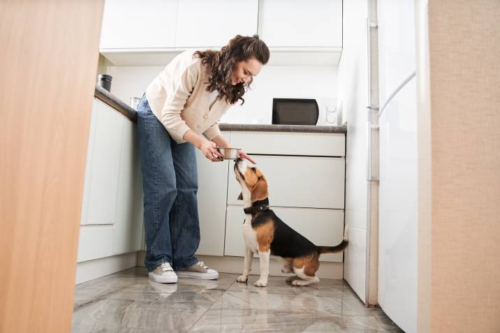 house sitter feeding dog in kitchen