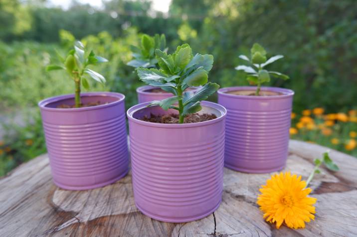 purple tin cans repurposed as planters