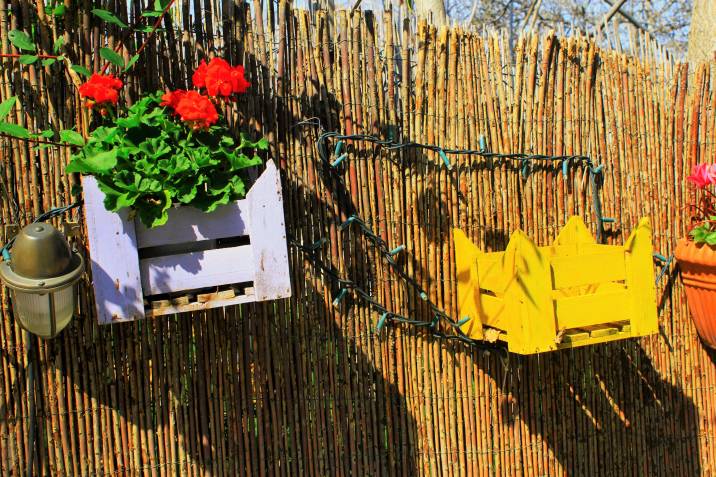 decorative wooden crate as a planter