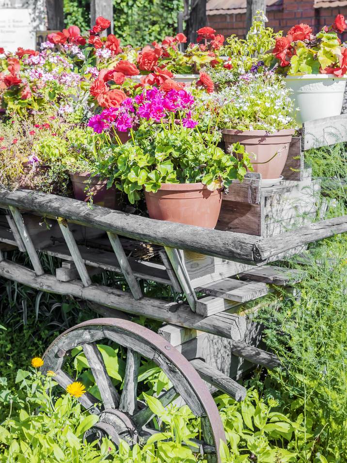 old wooden cart with potted flowers