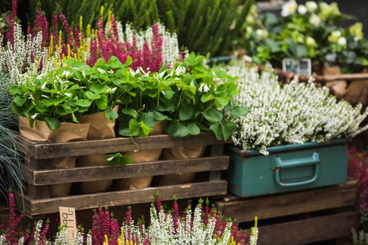 old drawer used as a planter