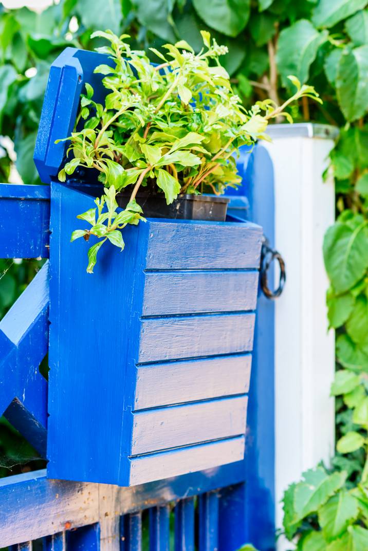 a mailbox used as a planter