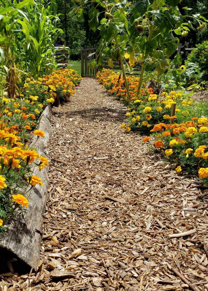 a-mulched-garden-path