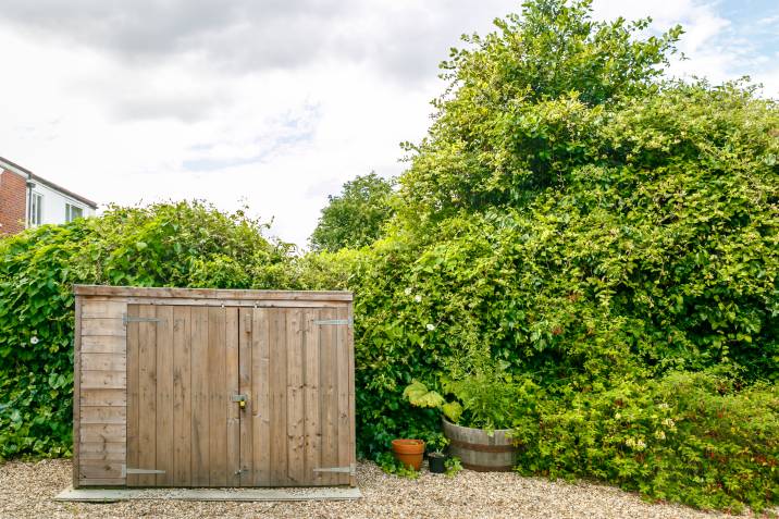 A colorful pink shed with a white door and window, surrounded by lush greenery in a sunny backyard