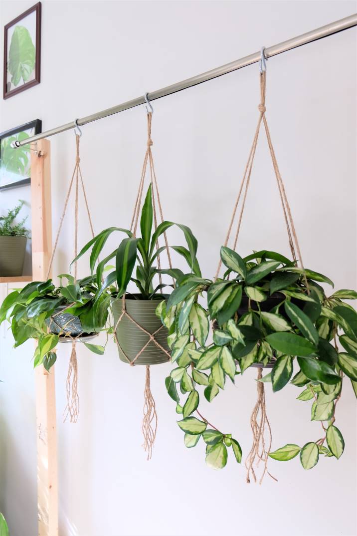 old-metal-clothing-rod-used-to-hang-plants