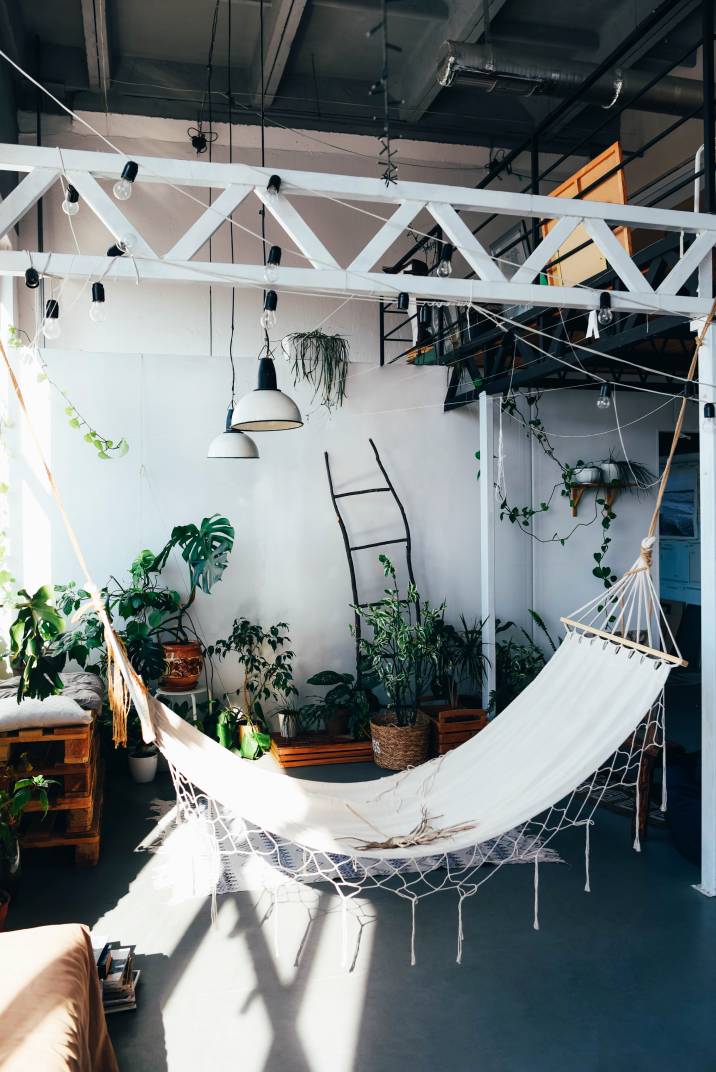 houseplants-and-a-hammock
