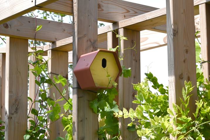wooden-birdhouse-in-garden