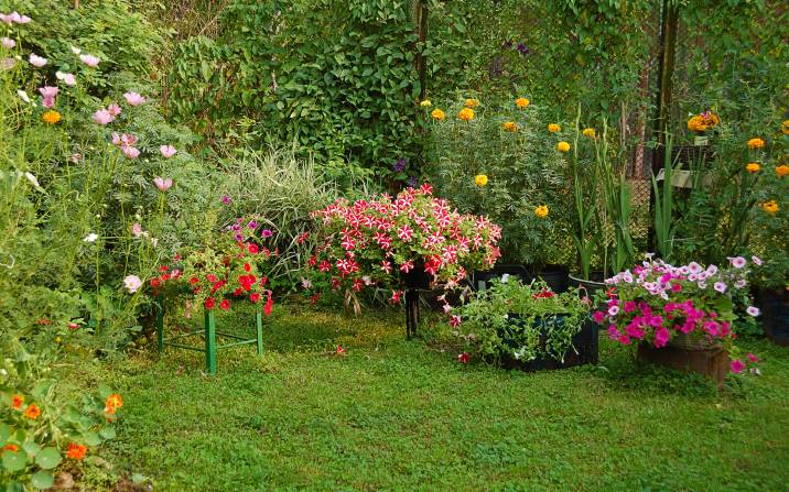 colorful-flower-garden
