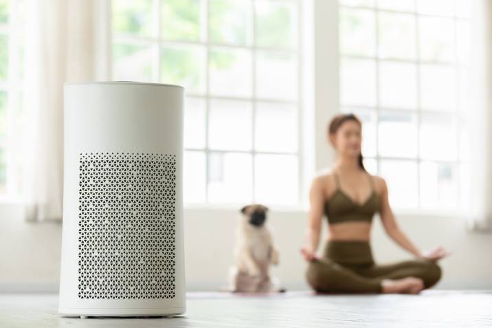 air purifier in cosy white living room, woman and dog doing yoga in background