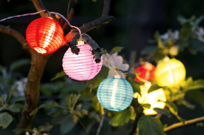colorful garden lampions