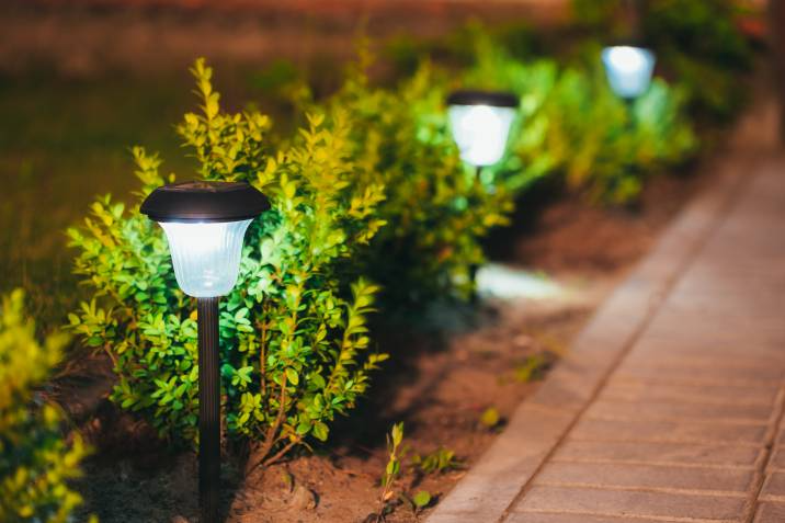 solar lights in pathway