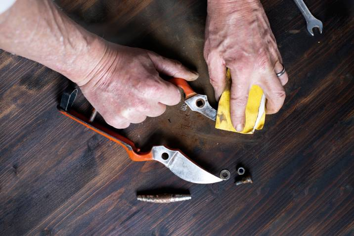 man cleaning secateurs