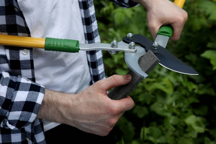 man sharpening secateurs