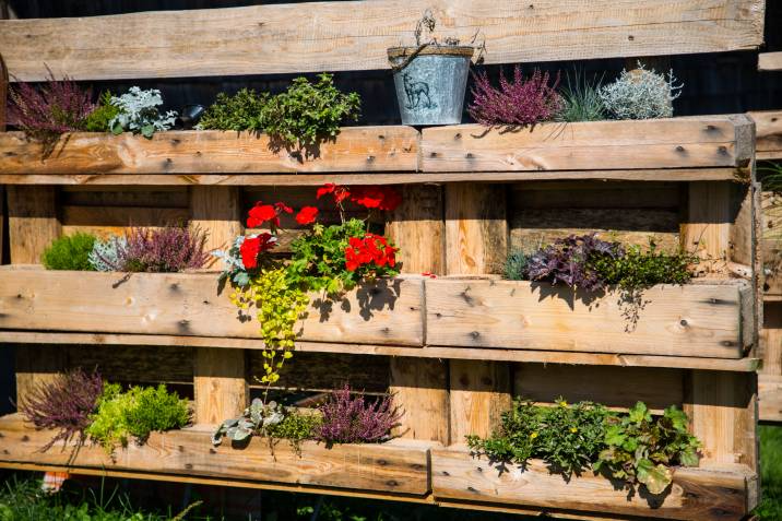wood pallet fence with plants