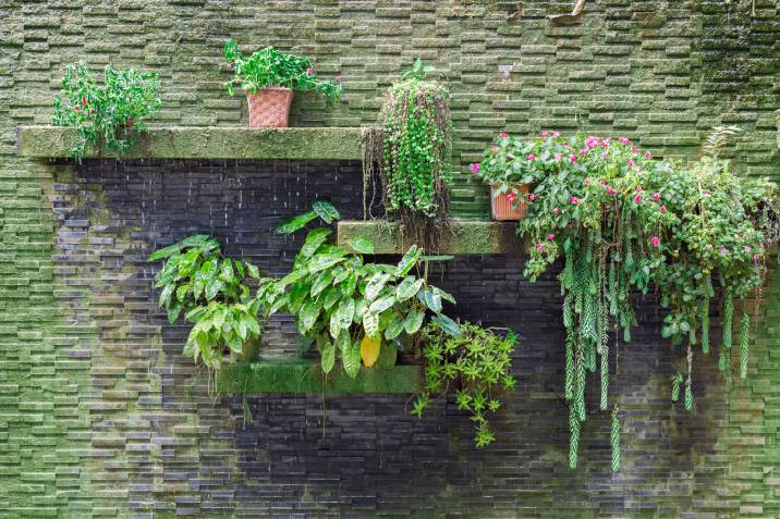 mossy brick garden wall