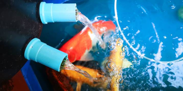 Koi pond with a DIY pond filter