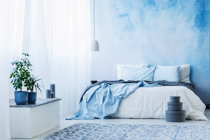 Sky blue bedroom interior with double bed, plants, and grey boxes on the floor