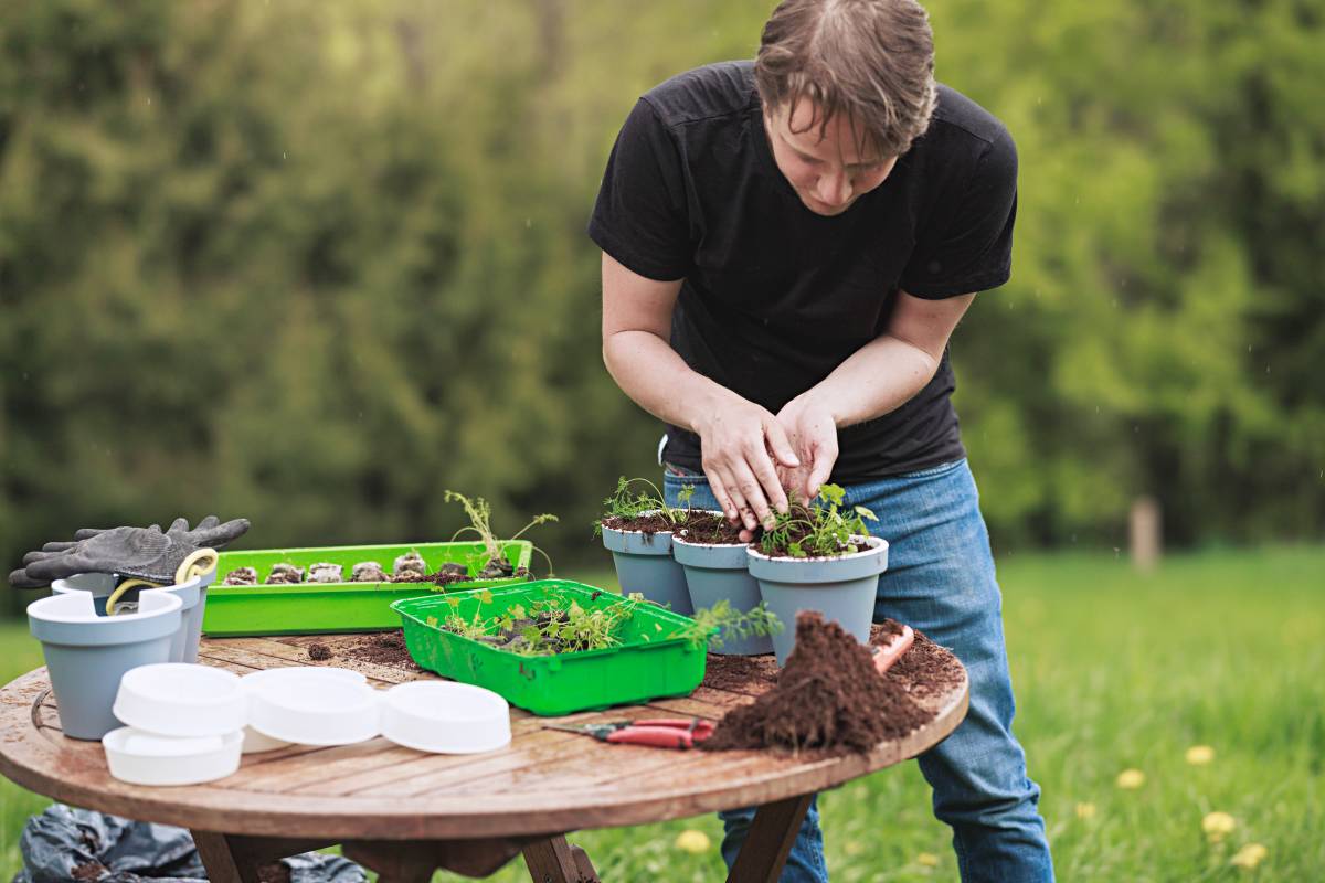 a gardener caring for potted plants