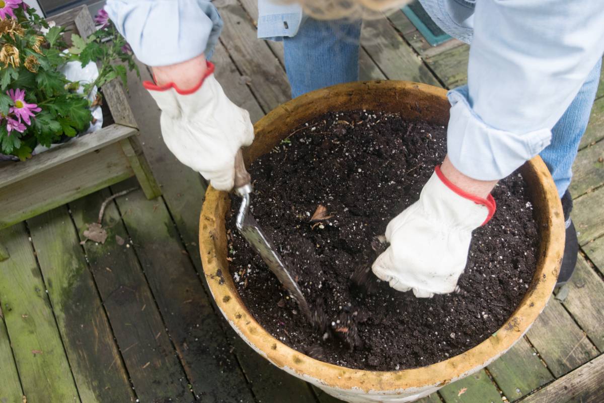 a woman shovelling garden soil