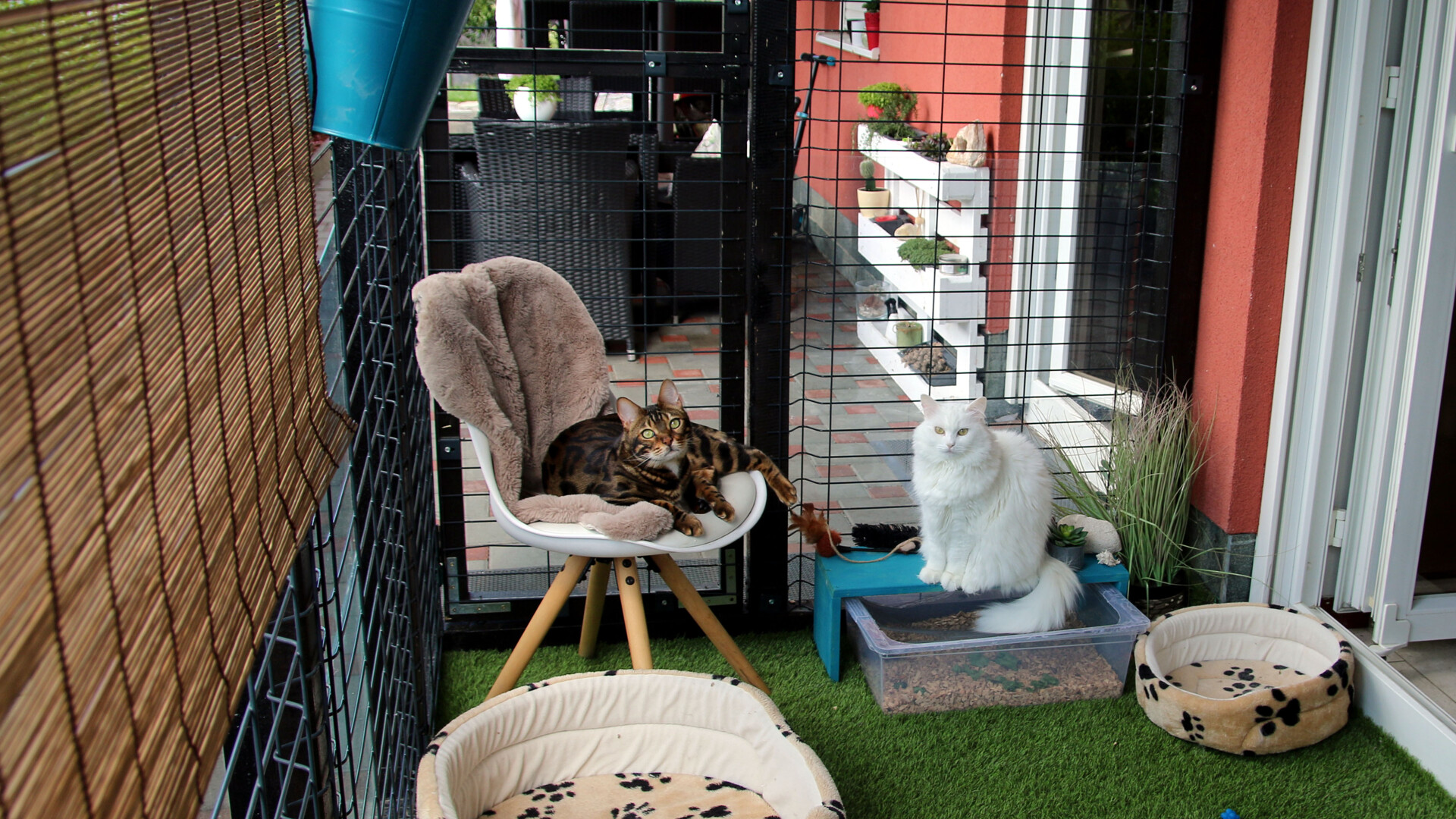 Cat Enclosures, run,Nets, Adelaide, Melbourne, Perth, Sydney