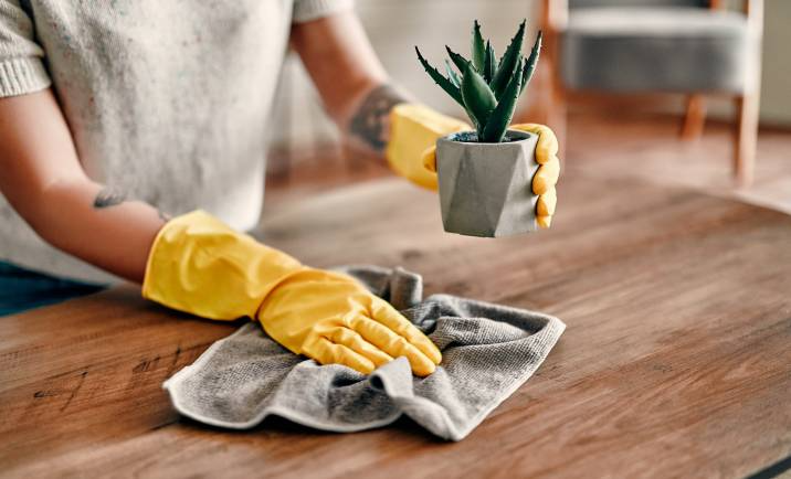 Cleaning during winter, wiping dust on table