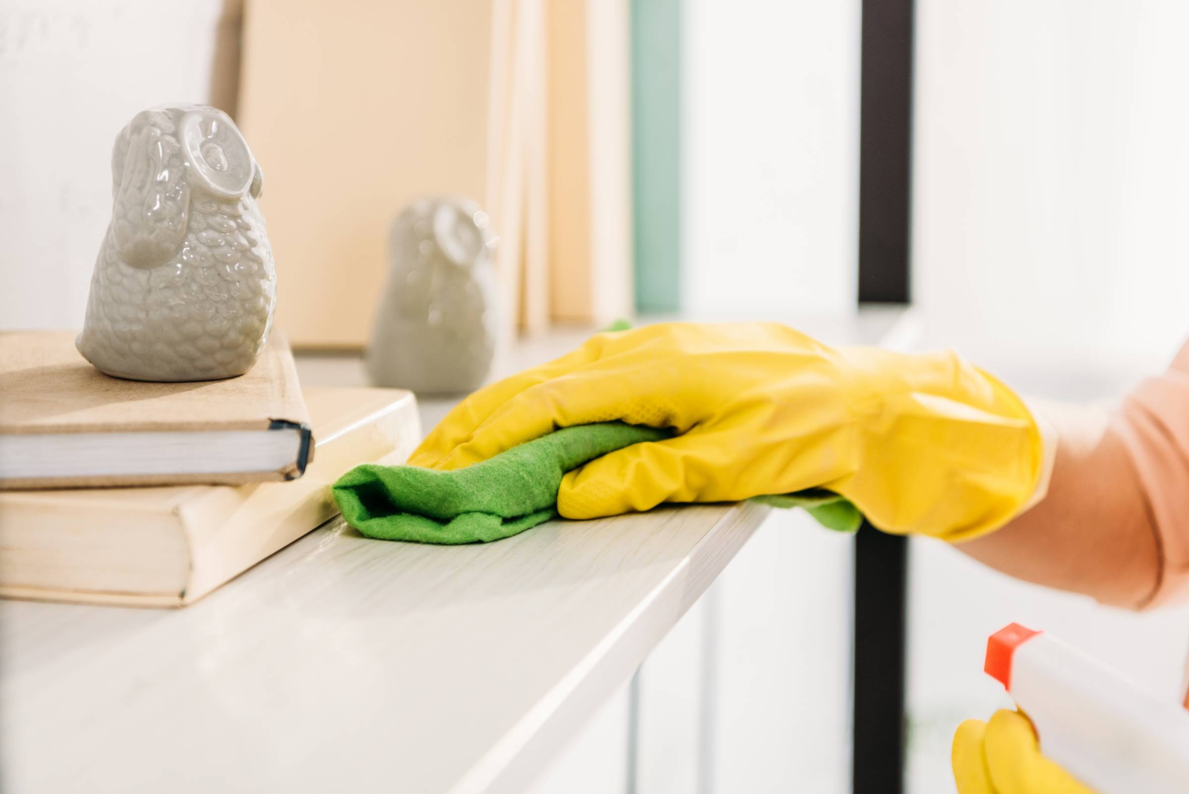 a woman cleaning a bookshelf