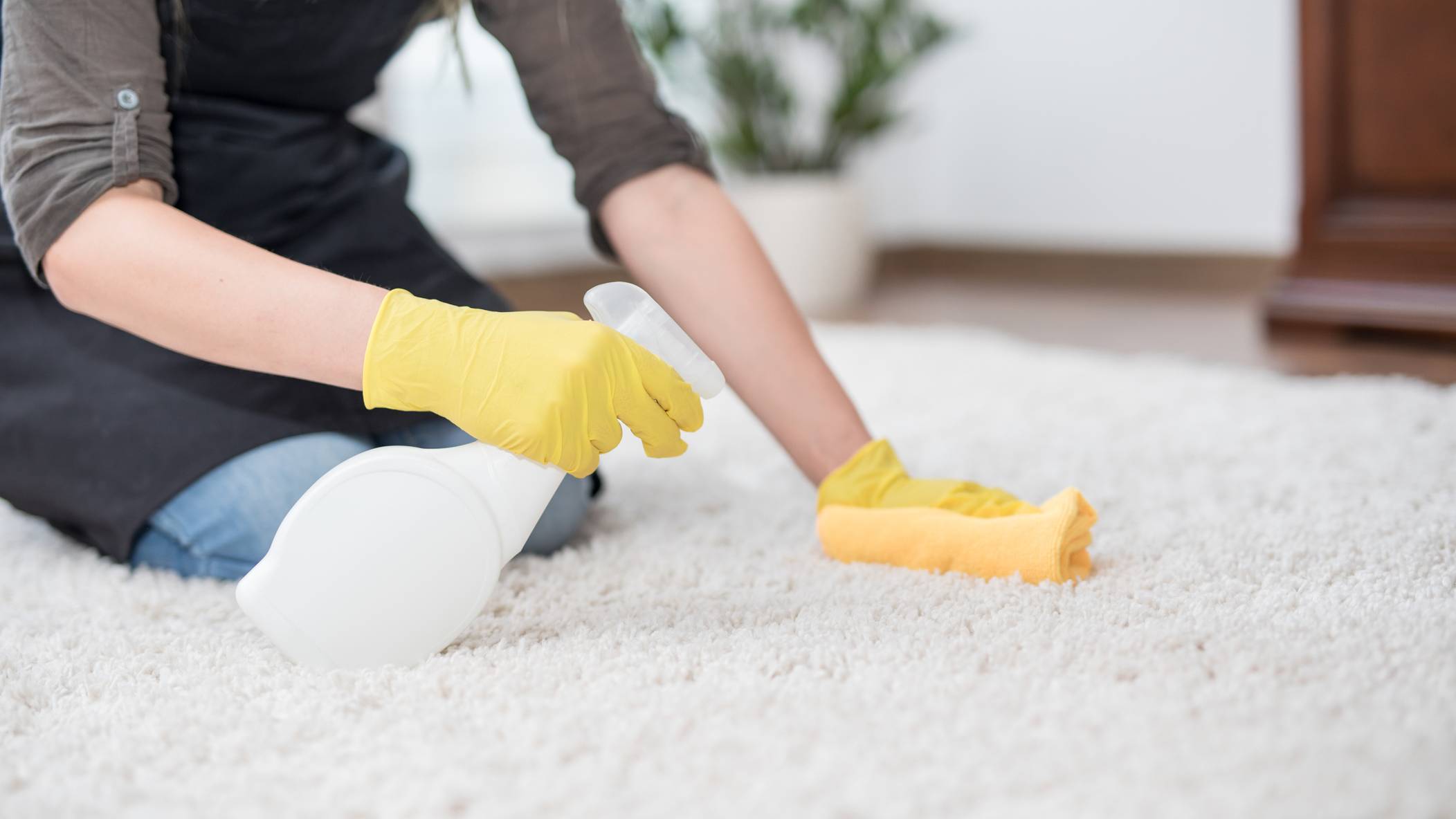 How to Clean Vomit Off a Carpet | Airtasker AU