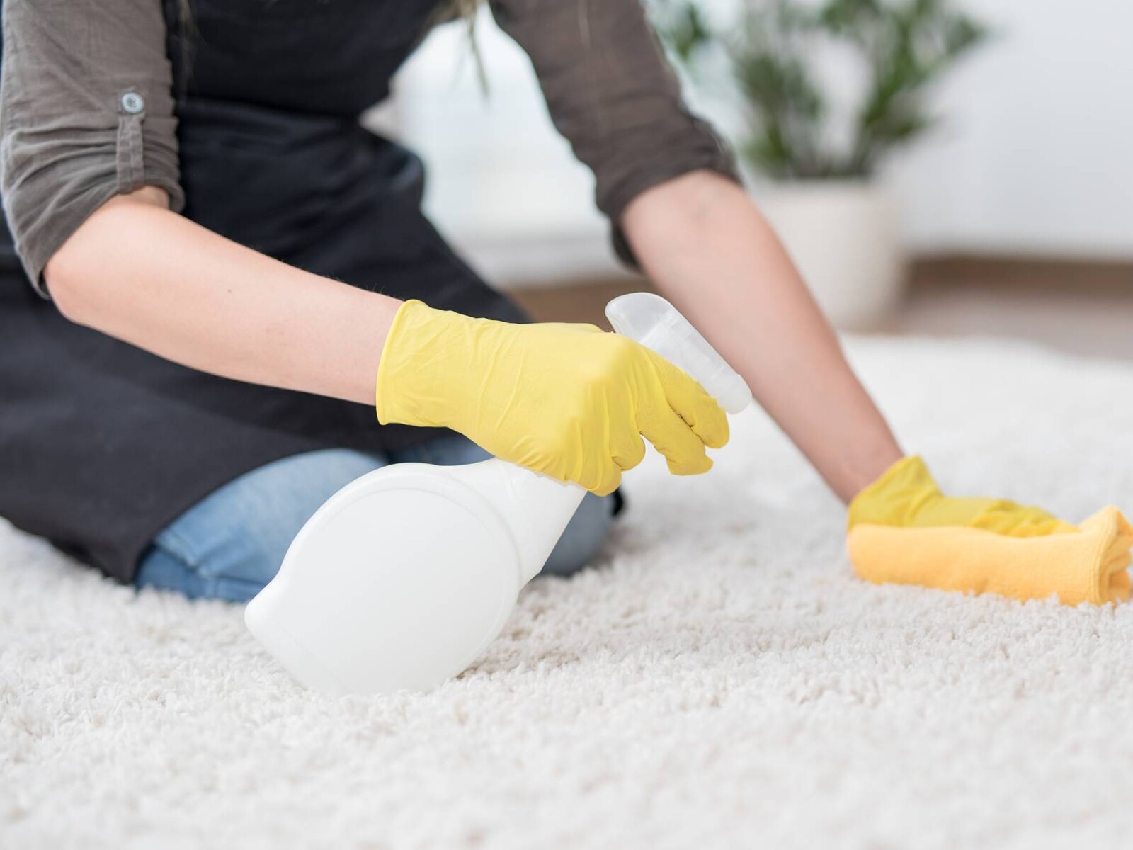 How To Clean Vomit Off A Carpet