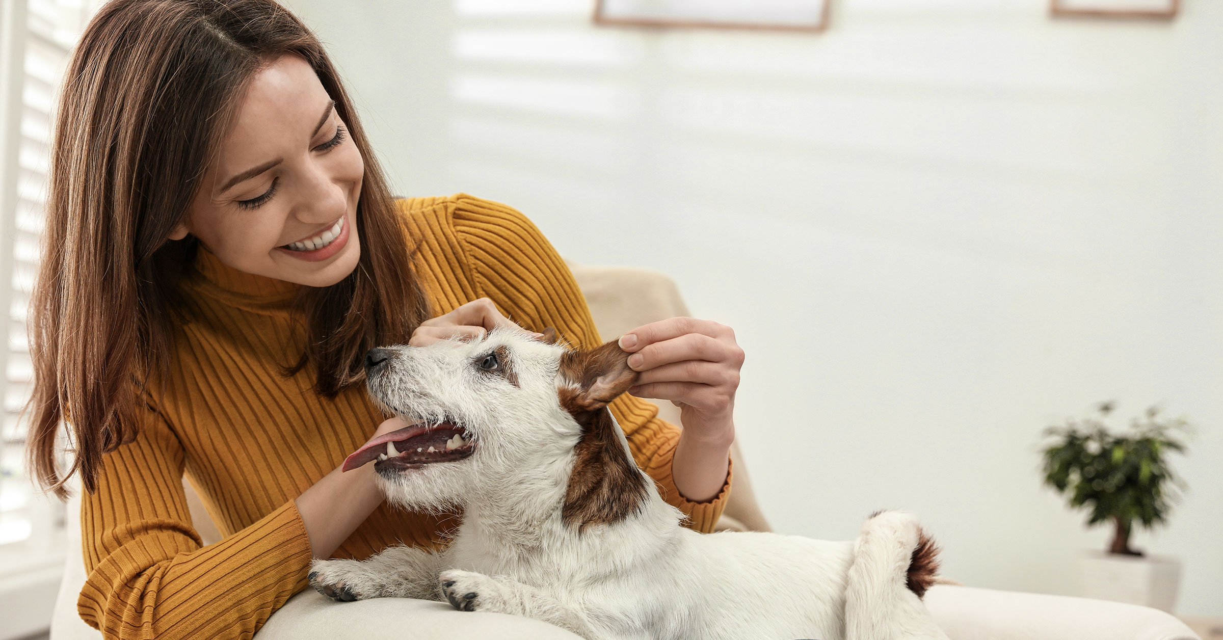 A photo of a woman taking good care of a really cute dog.