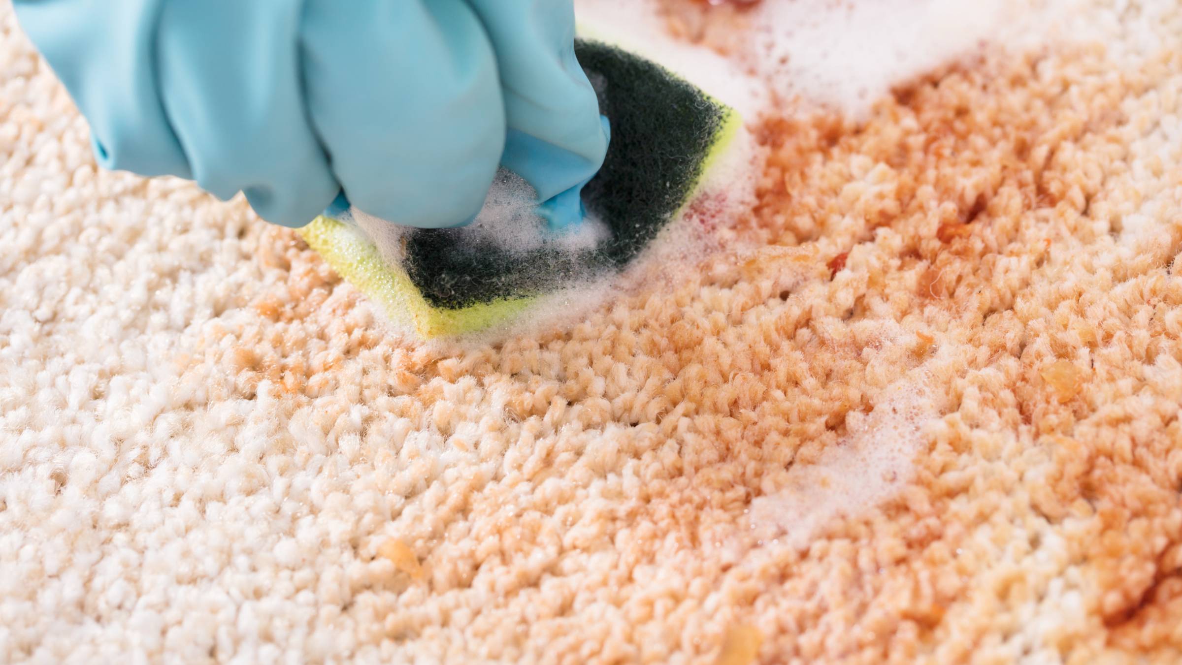 How to Get Blood Out of Carpets Airtasker US