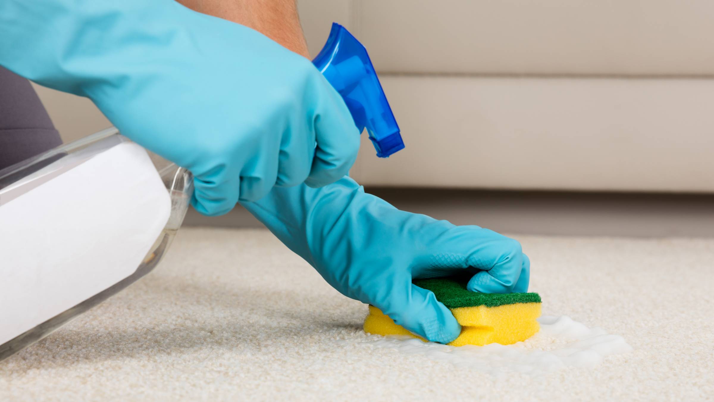 a person cleaning stain off a carpet